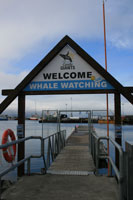 husavik