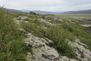 grbrkarhraun