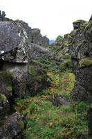 pingvellir