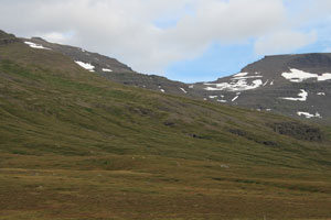 ostfjorde