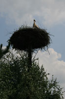 In Polen In Polen