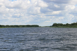 Nida