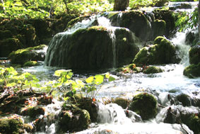kroatien