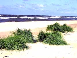 Am Ostseestrand