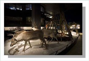 arktikum