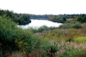 landschaft