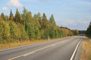 landschaft