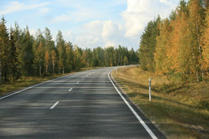 landschaft