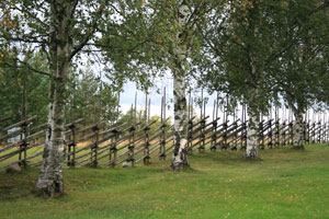 Kalix