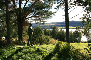 suednorrland