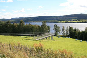 suednorrland