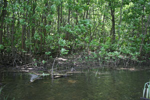 saratow