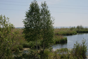 unterwegs_nach_jekaterinburg