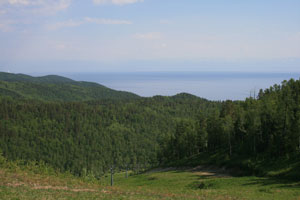  listwanka