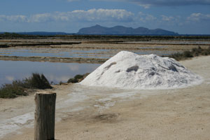 trapani