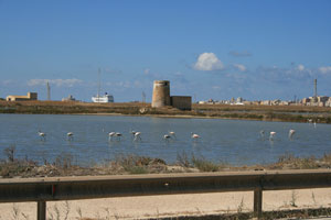 trapani