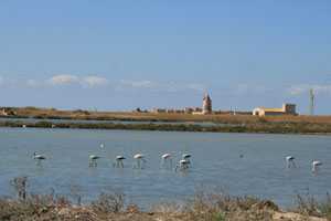 trapani