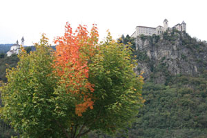 klausen
